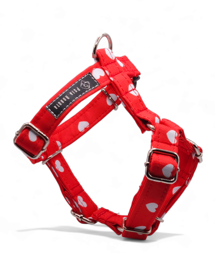 szelki guard dla psa szelki typu guard szelki guard regulowane szelki guard bezuciskowe szelki guard dla dużego psa szelki guard dla małego psa szelki guard do codziennych spacerów