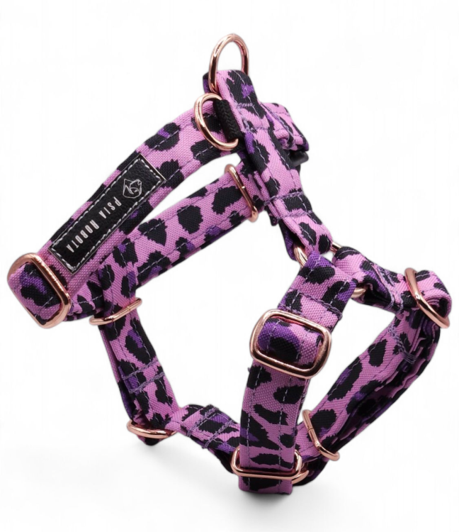 szelki guard dla psa szelki typu guard szelki guard regulowane szelki guard bezuciskowe szelki guard dla dużego psa szelki guard dla małego psa szelki guard do codziennych spacerów