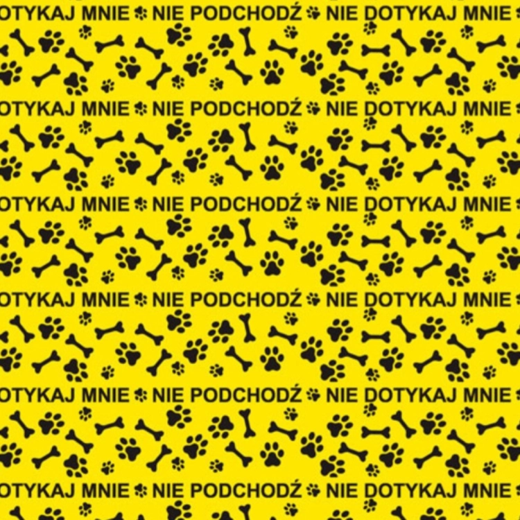 szelki guard dla psa szelki typu guard szelki guard regulowane szelki guard bezuciskowe szelki guard dla dużego psa szelki guard dla małego psa szelki guard do codziennych spacerów