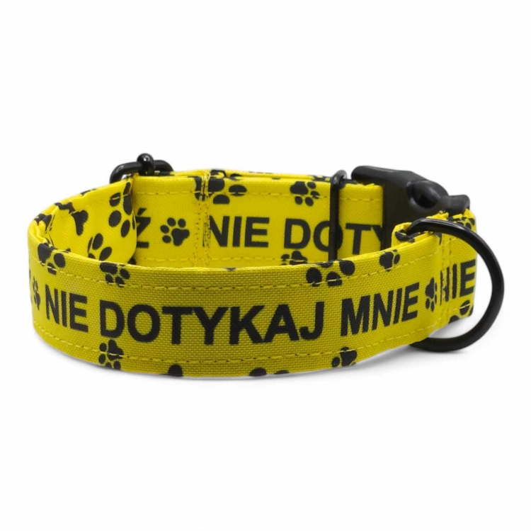 obroża na zatrzask dla psa regulowana obroża na zatrzask dla małego psa obroża na zatrzask dla dużego psa obroża na klamrę dla psa obroża z zatrzaskiem dla psa wytrzymała obroża na zatrzask