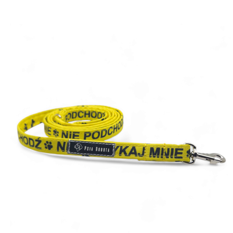 smycz miejska dla psa 120 cm smycz miejska dla małego psa smycz miejska dla dużego psa smycz miejska z amortyzatorem smycz miejska regulowana smycz miejska do spacerów po mieście