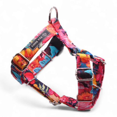 szelki guard dla psa szelki typu guard szelki guard regulowane szelki guard bezuciskowe szelki guard dla dużego psa szelki guard dla małego psa szelki guard do codziennych spacerów