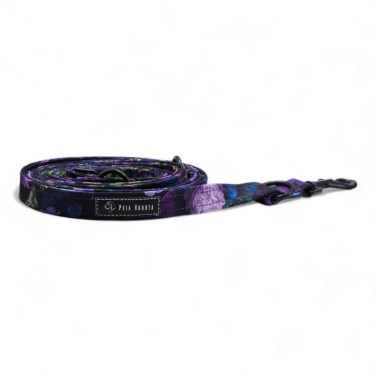 smycz miejska dla psa 120 cm smycz miejska dla małego psa smycz miejska dla dużego psa smycz miejska z amortyzatorem smycz miejska regulowana smycz miejska do spacerów po mieście