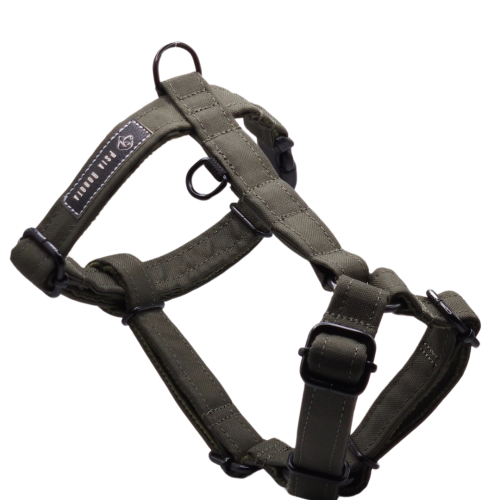 szelki guard dla psa szelki typu guard szelki guard regulowane szelki guard bezuciskowe szelki guard dla dużego psa szelki guard dla małego psa szelki guard do codziennych spacerów