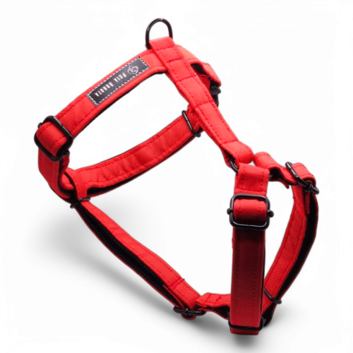 szelki guard dla psa szelki typu guard szelki guard regulowane szelki guard bezuciskowe szelki guard dla dużego psa szelki guard dla małego psa szelki guard do codziennych spacerów