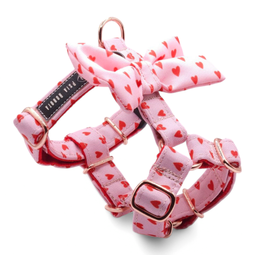 szelki guard dla psa szelki typu guard szelki guard regulowane szelki guard bezuciskowe szelki guard dla dużego psa szelki guard dla małego psa szelki guard do codziennych spacerów