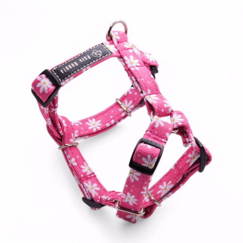 szelki guard dla psa szelki typu guard szelki guard regulowane szelki guard bezuciskowe szelki guard dla dużego psa szelki guard dla małego psa szelki guard do codziennych spacerów