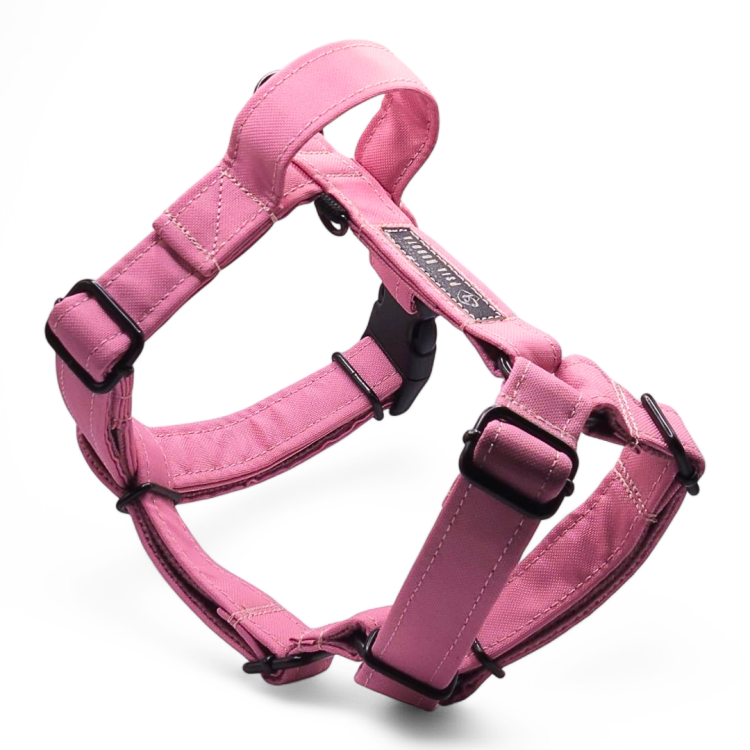 szelki guard dla psa szelki typu guard szelki guard regulowane szelki guard bezuciskowe szelki guard dla dużego psa szelki guard dla małego psa szelki guard do codziennych spacerów