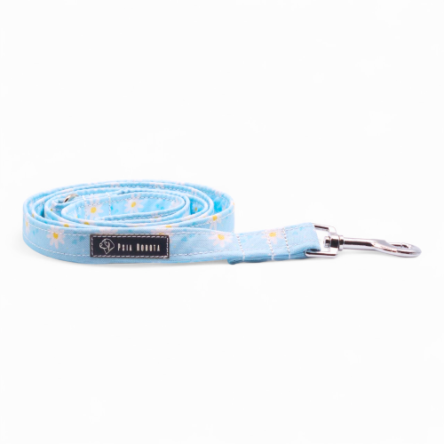 smycz miejska dla psa 120 cm smycz miejska dla małego psa smycz miejska dla dużego psa smycz miejska z amortyzatorem smycz miejska regulowana smycz miejska do spacerów po mieście