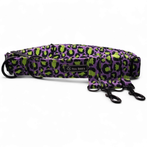 pas treningowy dla psa pas treningowy regulowany pas treningowy do biegania z psem pas treningowy z amortyzatorem pas treningowy do spacerów i biegania pas treningowy dla dużego psa pas treningowy hands-free
