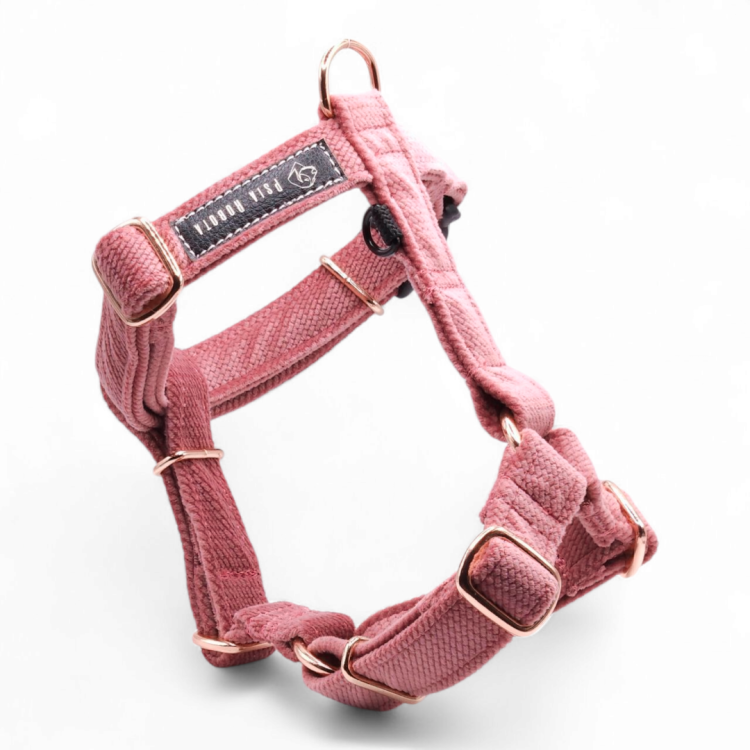 szelki Guard welurowe dla psa welurowe szelki Guard szelki Guard dla psa komfortowe szelki welurowe szelki spacerowe dla psa