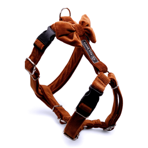 szelki Guard welurowe dla psa welurowe szelki Guard szelki Guard dla psa komfortowe szelki welurowe szelki spacerowe dla psa