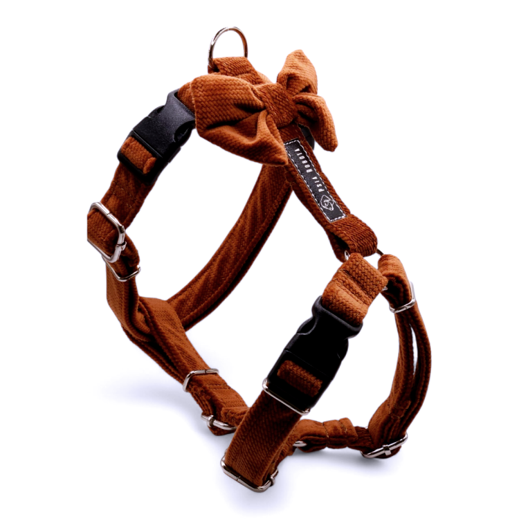 szelki Guard welurowe dla psa welurowe szelki Guard szelki Guard dla psa komfortowe szelki welurowe szelki spacerowe dla psa