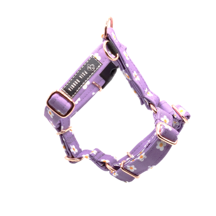 szelki guard dla psa szelki typu guard szelki guard regulowane szelki guard bezuciskowe szelki guard dla dużego psa szelki guard dla małego psa szelki guard do codziennych spacerów