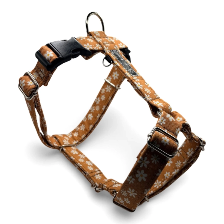 szelki guard dla psa szelki typu guard szelki guard regulowane szelki guard bezuciskowe szelki guard dla dużego psa szelki guard dla małego psa szelki guard do codziennych spacerów