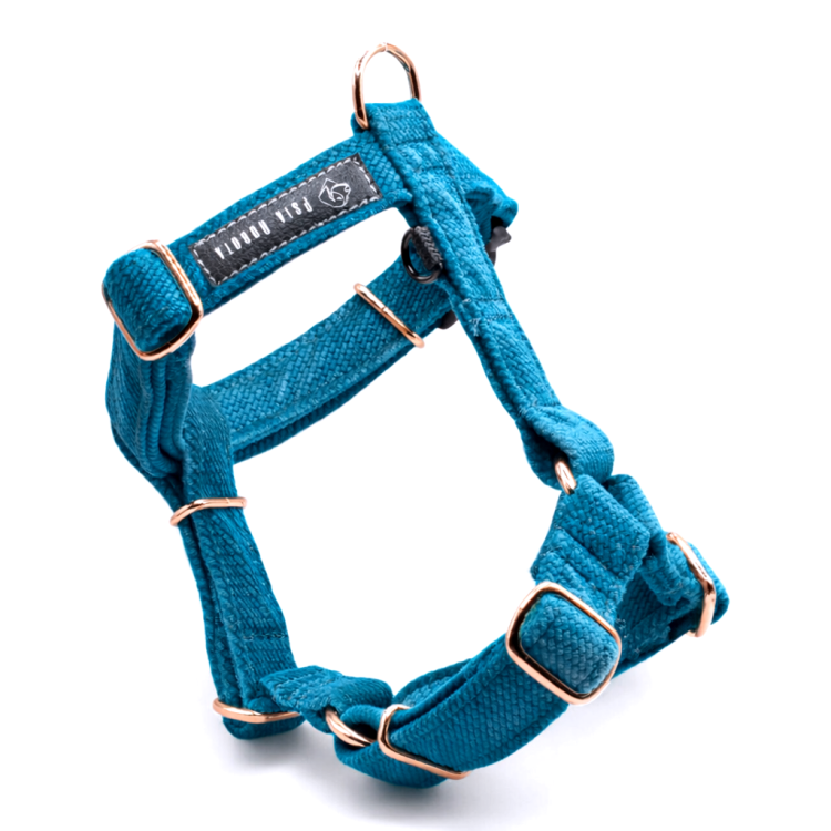 ChatGPT Image 20 mar 2026, 21_50_36.png