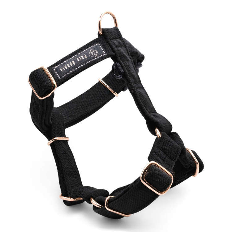 ChatGPT Image 20 mar 2026, 21_55_52.png