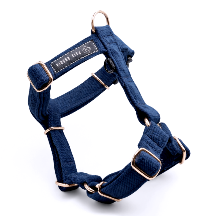 welurowe szelki Guard szelki Guard dla psa komfortowe szelki welurowe szelki spacerowe dla psa