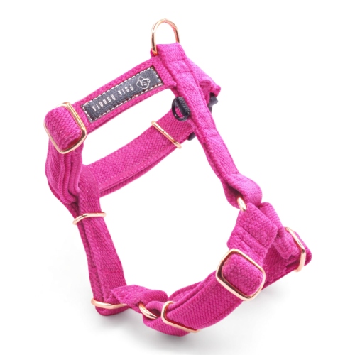 ChatGPT Image 20 mar 2026, 21_59_43.png