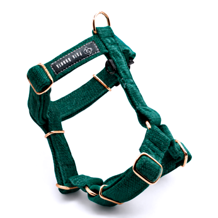 ChatGPT Image 20 mar 2026, 22_00_44.png