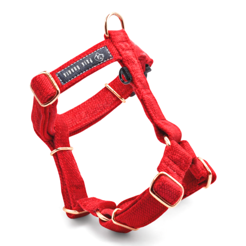 szelki Guard welurowe dla psa welurowe szelki Guard szelki Guard dla psa komfortowe szelki welurowe szelki spacerowe dla psa