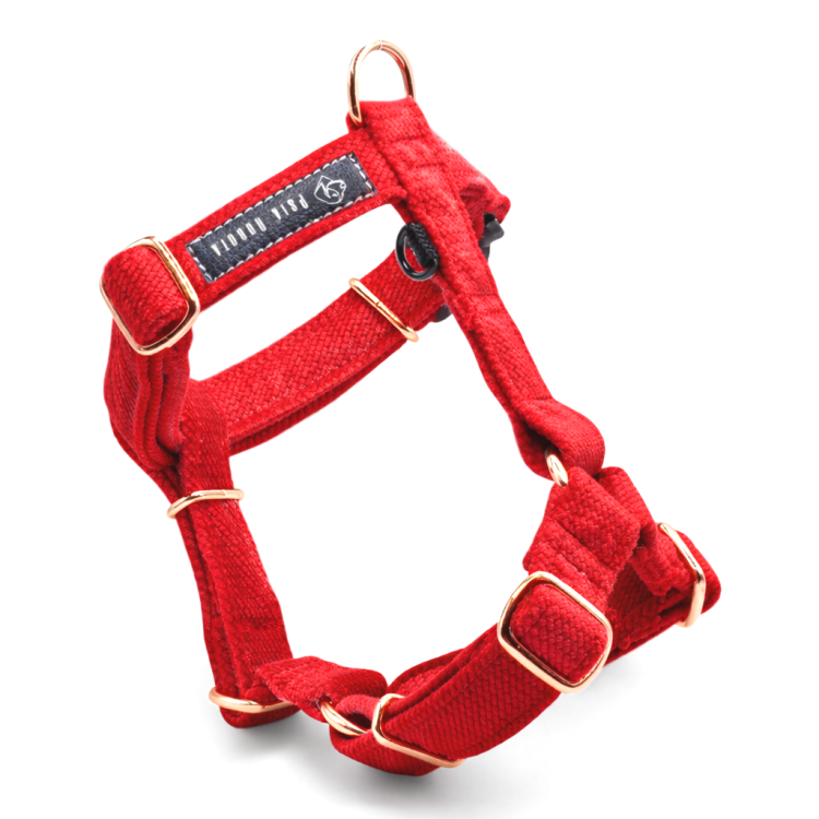 szelki Guard welurowe dla psa welurowe szelki Guard szelki Guard dla psa komfortowe szelki welurowe szelki spacerowe dla psa