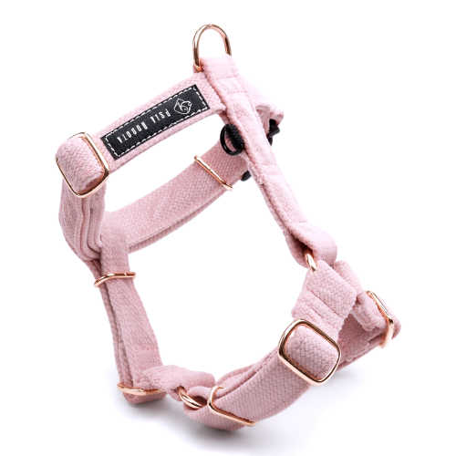 szelki Guard welurowe dla psa welurowe szelki Guard szelki Guard dla psa komfortowe szelki welurowe szelki spacerowe dla psa