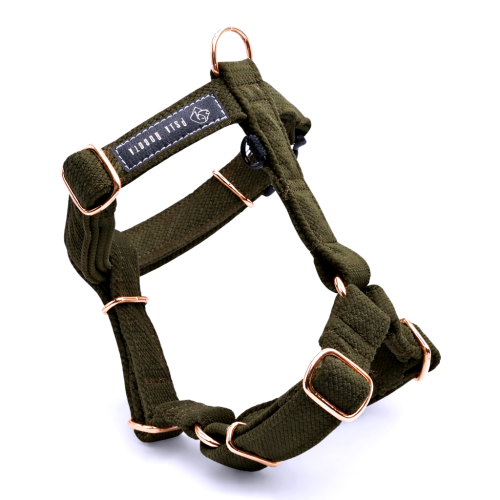 szelki Guard welurowe dla psa welurowe szelki Guard szelki Guard dla psa komfortowe szelki welurowe szelki spacerowe dla psa