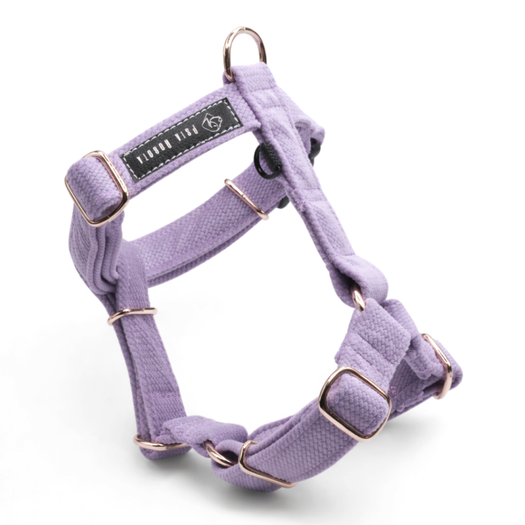 szelki Guard welurowe dla psa welurowe szelki Guard szelki Guard dla psa komfortowe szelki welurowe szelki spacerowe dla psa