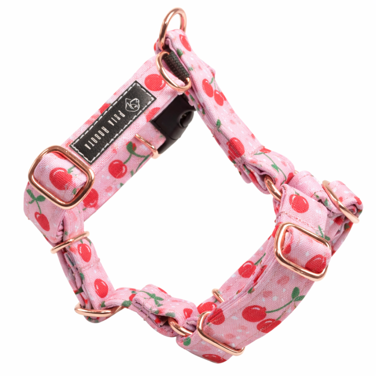 szelki guard dla psa szelki typu guard szelki guard regulowane szelki guard bezuciskowe szelki guard dla dużego psa szelki guard dla małego psa szelki guard do codziennych spacerów