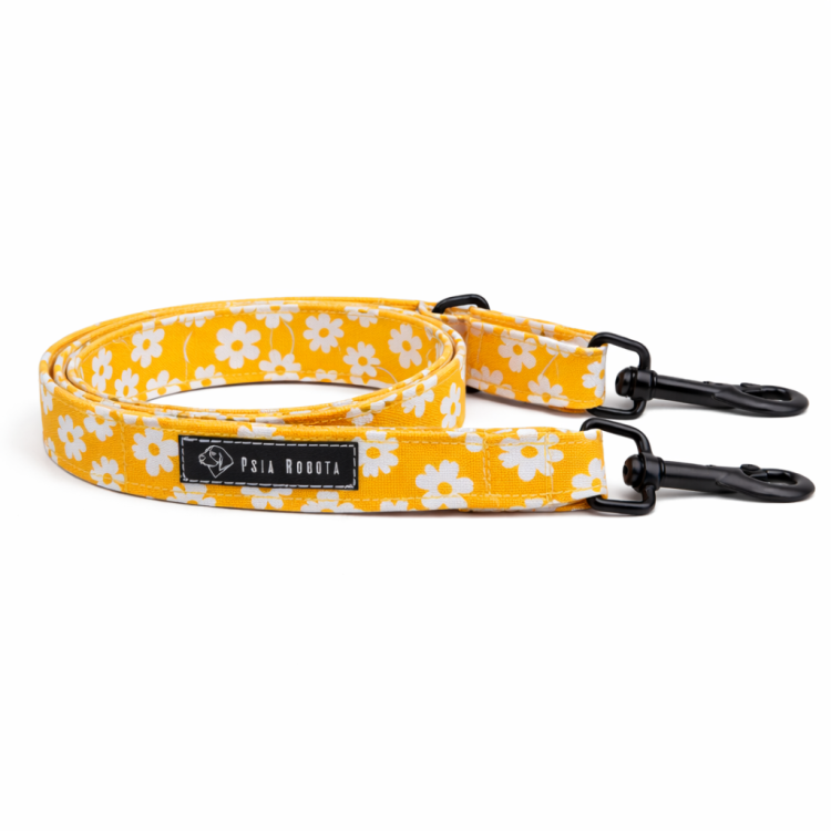 smycz miejska dla psa 120 cm smycz miejska dla małego psa smycz miejska dla dużego psa smycz miejska z amortyzatorem smycz miejska regulowana smycz miejska do spacerów po mieście
