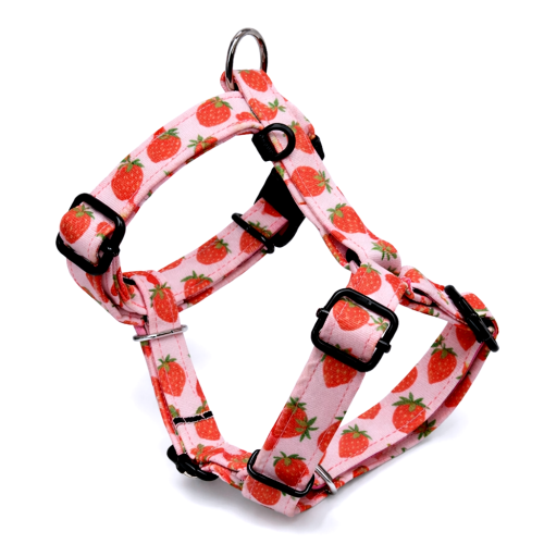 szelki guard dla psa szelki typu guard szelki guard regulowane szelki guard bezuciskowe szelki guard dla dużego psa szelki guard dla małego psa szelki guard do codziennych spacerów