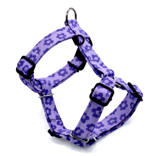 szelki guard dla psa szelki typu guard szelki guard regulowane szelki guard bezuciskowe szelki guard dla dużego psa szelki guard dla małego psa szelki guard do codziennych spacerów